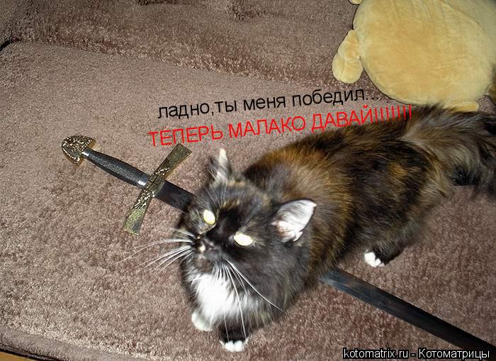 Котоматрица: ладно,ты меня победил... ладно,ты меня победил... ТЕПЕРЬ МАЛАКО ДАВАЙ!!!!!!!