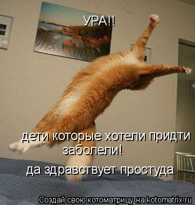 Котоматрица: УРА!! дети которые хотели  придти  заболели! да здравствует простуда