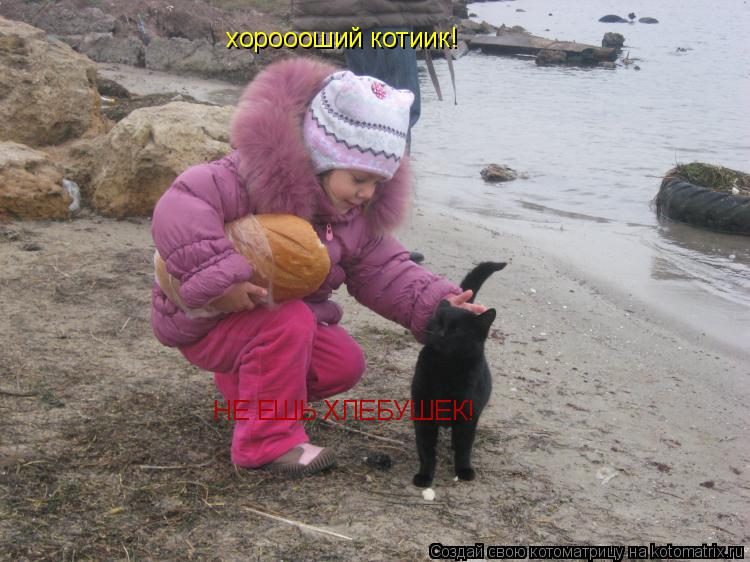 Котоматрица: хороооший котиик! НЕ ЕШЬ ХЛЕБУШЕК!