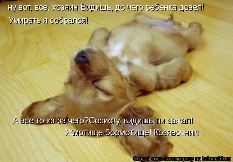Котоматрица: ну вот, все, хозяин!Видишь, до чего ребенка довел! Умирать я собрался! А все то из-за чего?Сосиску, видишь-ли зажал! Жмотище-бормотище! Козявоч