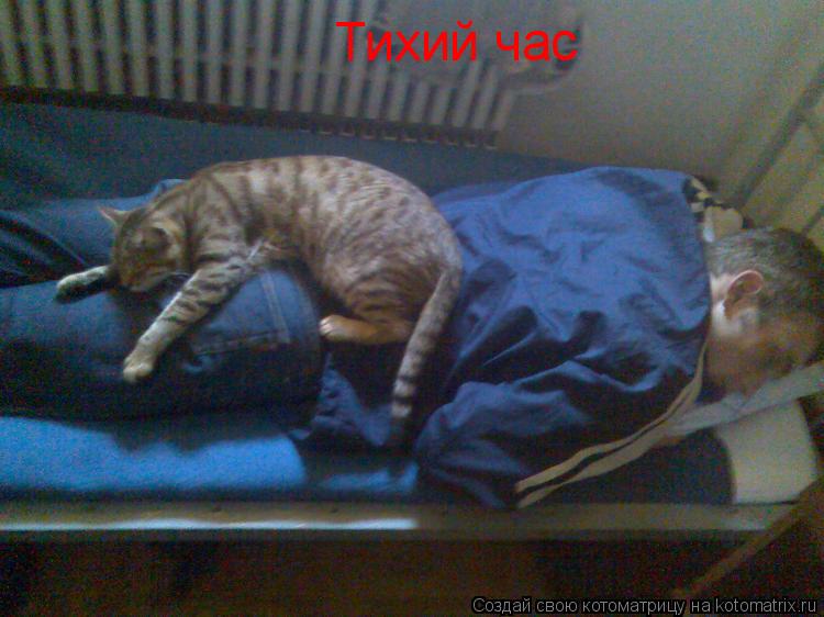 Котоматрица: Тихий час