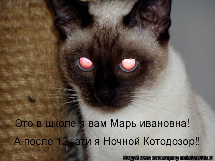 Котоматрица: Это в школе я вам Марь ивановна! А после 12 -ати я Ночной Котодозор!!