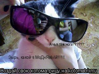 Котоматрица: Зырь, какой я МоДнЯвЫй!!!!!!! А чья там нога??????