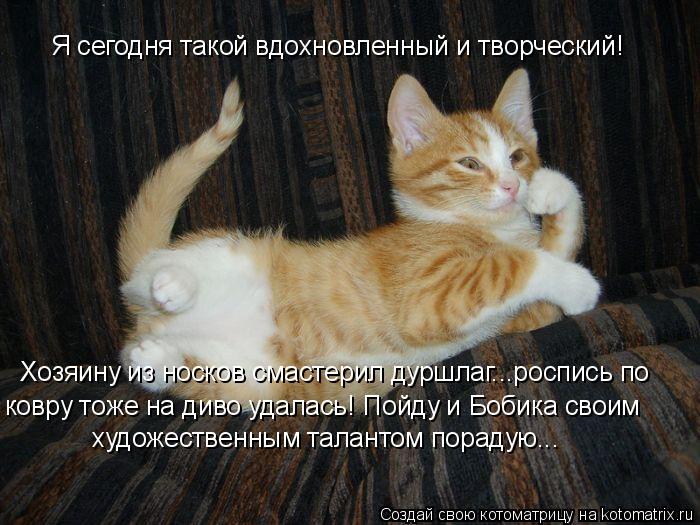 Я сегодня такой вдохновленный и творческий! Хозяину из носков смастерил дуршлаг...роспись по ковру то... Котоматрица: Я сегодня такой вдохновленный и творческий! Хозяину из носков смастерил дуршлаг...роспись по ковру тоже на диво удалась! Пойду и Бобика свои