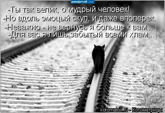 Котоматрица: -Ты так велик, о мудрый человек! -Но вдоль эмоцый скуп, и даже впоперек. -Неважно - не вернусь я больше к вам... -Для вас я лишь забытый всеми хлам