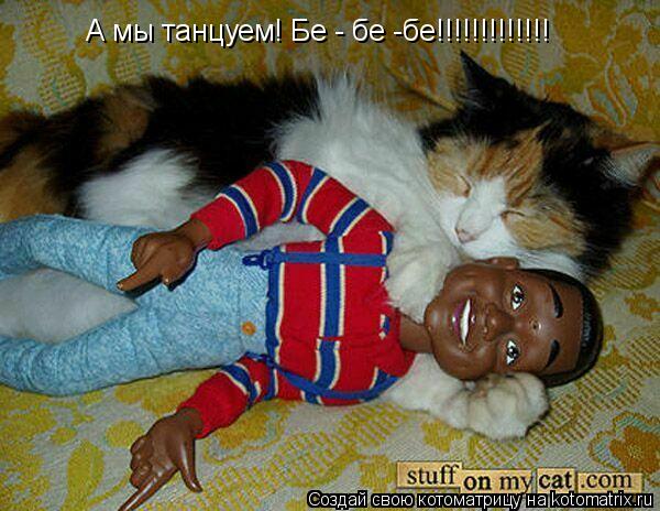 Котоматрица: А мы танцуем! Бе - бе -бе!!!!!!!!!!!!!