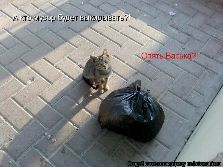 Котоматрица: А кто мусор будет выкидывать?! Опять Васька?!