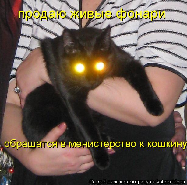 Котоматрица: продаю живые фонари  обрашатся в менистерство к кошкину