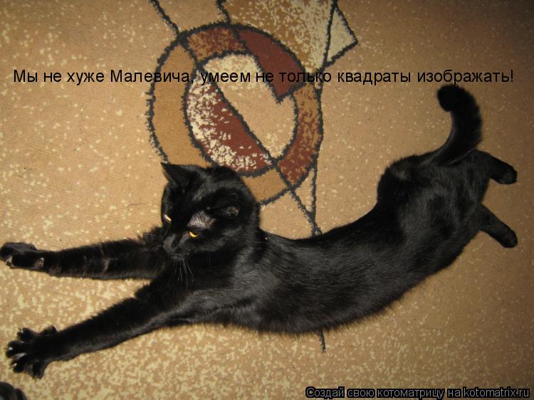 Котоматрица: Мы не хуже Малевича, умеем не только квадраты изображать! Мы не хуже Малевича, умеем не только квадраты изображать!