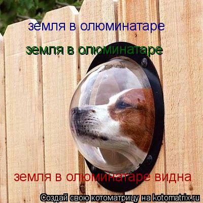 Котоматрица: земля в олюминатаре  земля в олюминатаре видна земля в олюминатаре