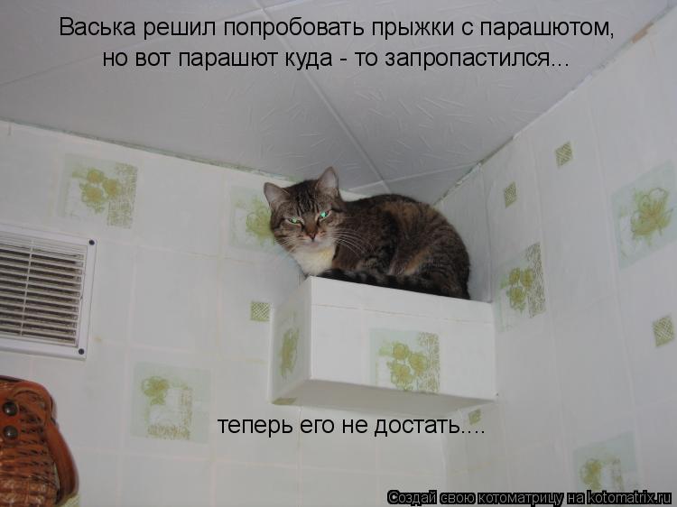 Котоматрица: Васька решил попробовать прыжки с парашютом, но вот парашют куда - то запропастился... теперь его не достать....