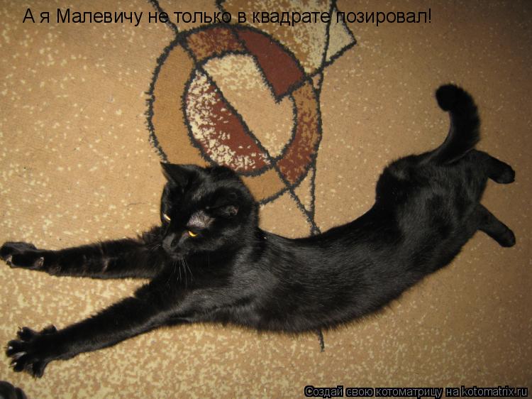 Котоматрица: А я Малевичу не только в квадрате позировал!