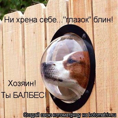 Котоматрица: Ни хрена себе..."глазок" блин! Хозяин!  Ты БАЛБЕС!