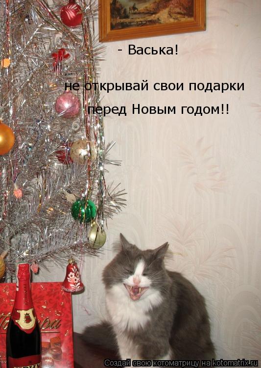 Котоматрица: - Васька! не открывай свои подарки перед Новым годом!!