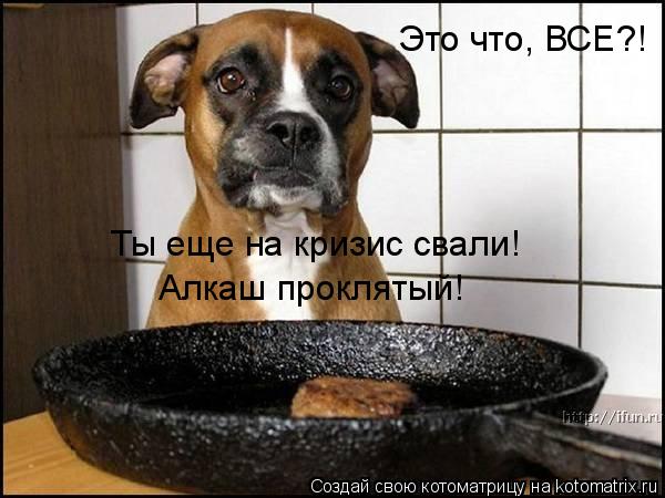 Котоматрица: Это что, ВСЕ?! Ты еще на кризис свали! Алкаш проклятый!