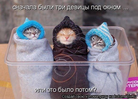 Котоматрица: сначала были три девицы под окном ... или это было потом?...
