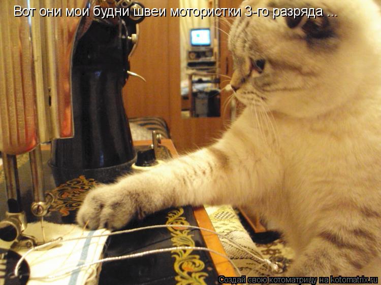 Котоматрица: Вот они мои будни швеи мотористки 3-го разряда ...