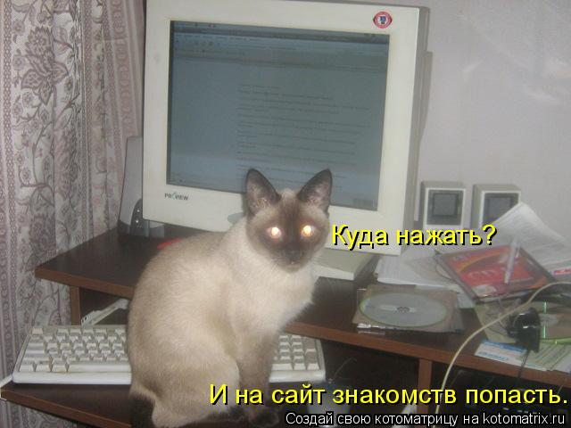 Котоматрица: Куда нажать? И на сайт знакомств попасть.