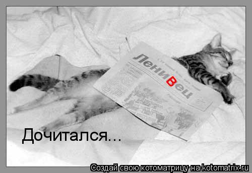 Котоматрица: в Дочитался...