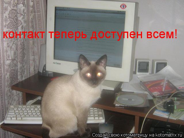 Котоматрица: контакт теперь доступен всем!