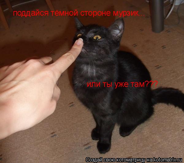 Котоматрица: поддайся тёмной стороне мурзик... или ты уже там???