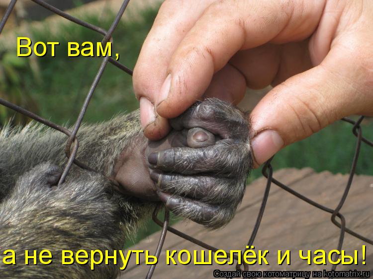 Котоматрица: Вот вам, а не вернуть кошелёк и часы!