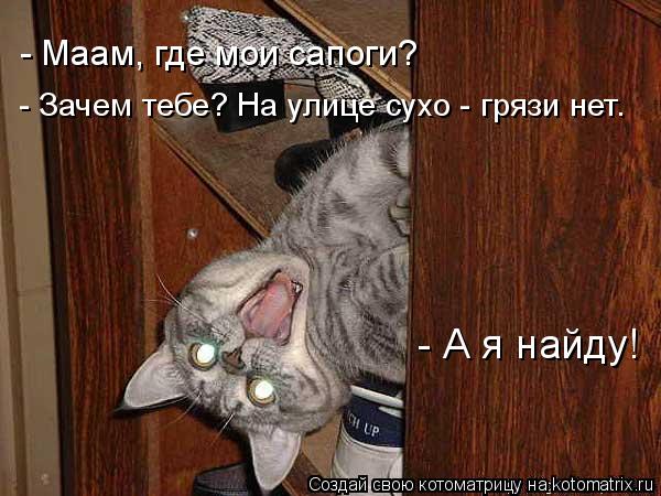 Котоматрица: - Маам, где мои сапоги? - Зачем тебе? На улице сухо - грязи нет. - А я найду!
