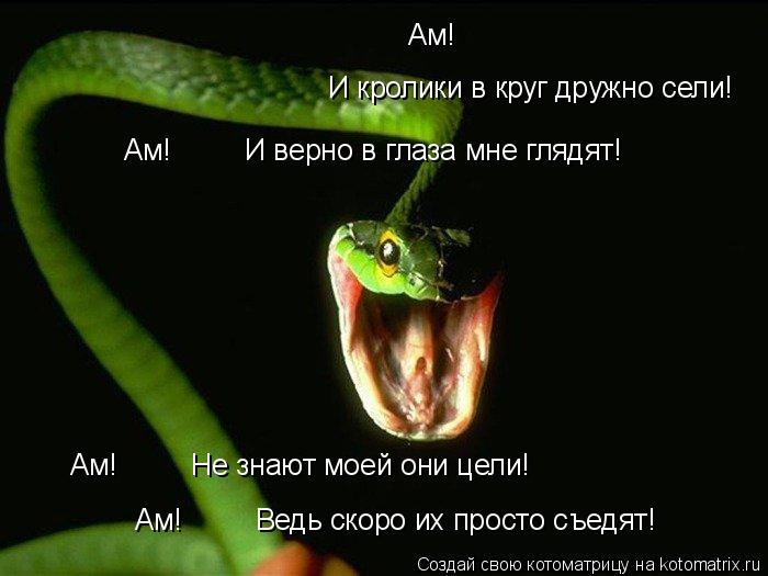 Котоматрица: Ам! И кролики в круг дружно сели! Ам!         И верно в глаза мне глядят! Ам!         Не знают моей они цели! Ам!         Ведь скоро их просто съедят!