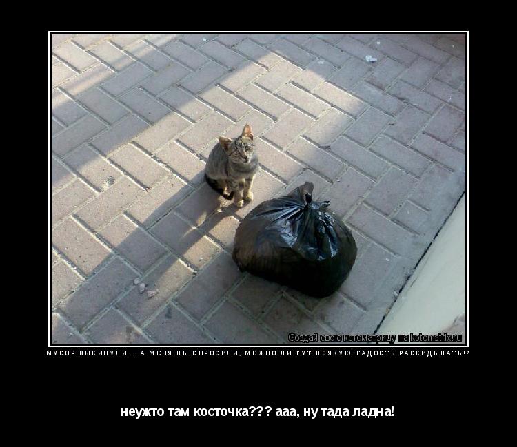 Котоматрица: мусор выкинули... А МЕНЯ ВЫ СПРОСИЛИ, МОЖНО ЛИ ТУТ ВСЯКУЮ ГАДОСТЬ РАСКИДЫВАТЬ!? неужто там косточка??? ааа, ну тада ладна!