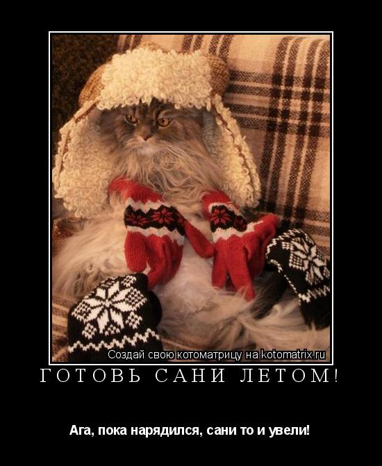 Котоматрица: ГОТОВЬ САНИ ЛЕТОМ! Ага, пока нарядился, сани то и увели!