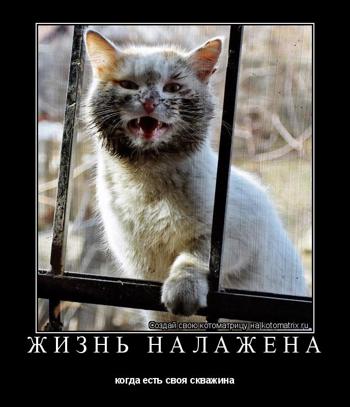 Котоматрица: Жизнь налажена когда есть своя скважина