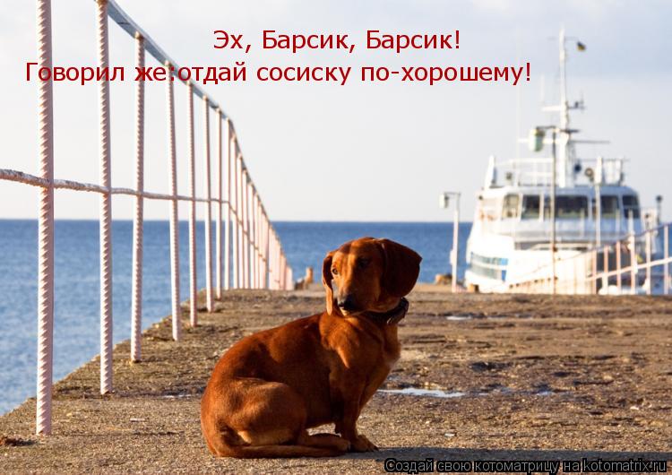 Котоматрица: Эх, Барсик, Барсик!  Говорил же:отдай сосиску по-хорошему!