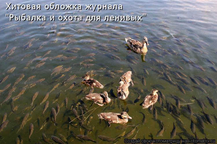 Котоматрица: Хитовая обложка журнала "Рыбалка и охота для ленивых"
