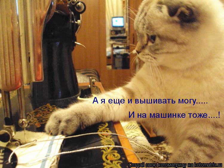Котоматрица: А я еще и вышивать могу..... И на машинке тоже....!