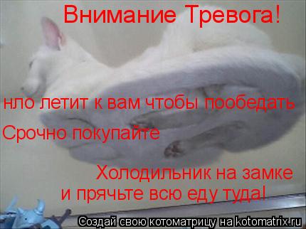 Котоматрица: Внимание Тревога! Срочно покупайте Холодильник на замке нло летит к вам чтобы пообедать и прячьте всю еду туда!
