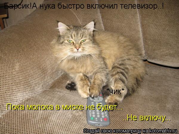 Котоматрица: *чик* Барсик!А нука быстро включил телевизор..! Пока молока в миске не будет... ..Не включу...