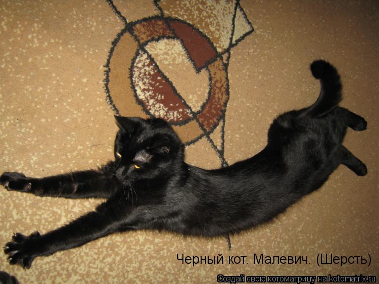 Котоматрица: Черный кот. Малевич. (Шерсть)
