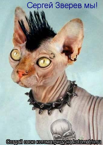 Котоматрица: Сергей Зверев мы!