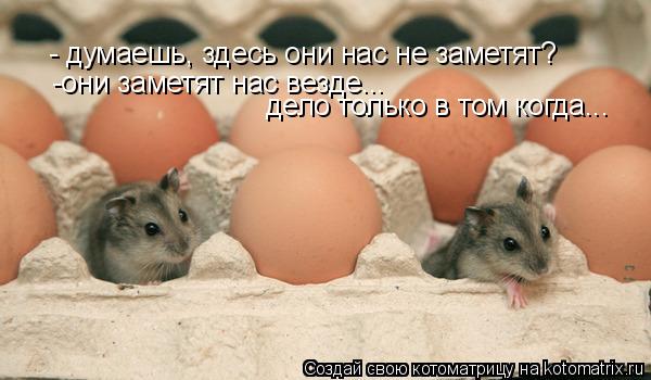 Котоматрица: - думаешь, здесь они нас не заметят?  -они заметят нас везде... дело только в том когда...