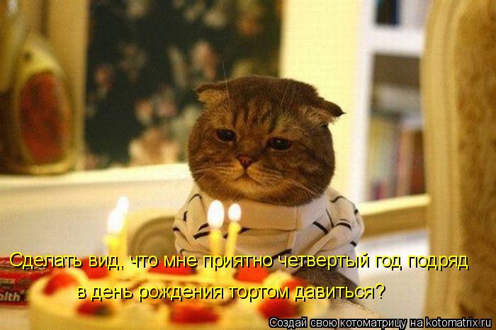 Котоматрица: Сделать вид, что мне приятно четвертый год подряд в день рождения тортом давиться?