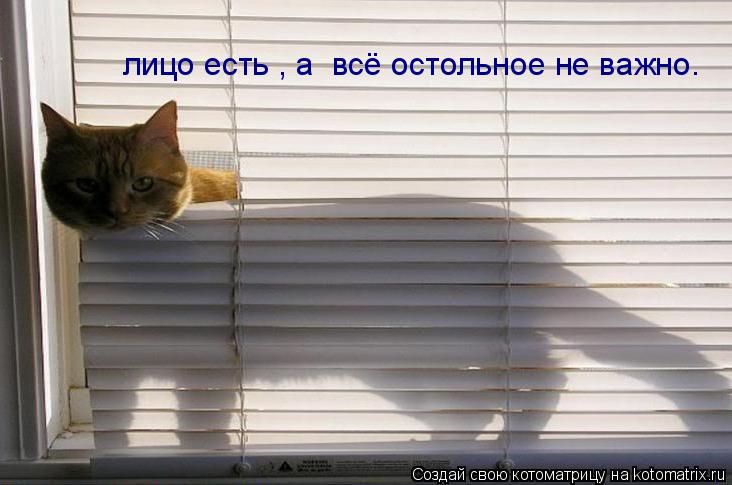 Котоматрица: лицо есть , а  всё остольное не важно.