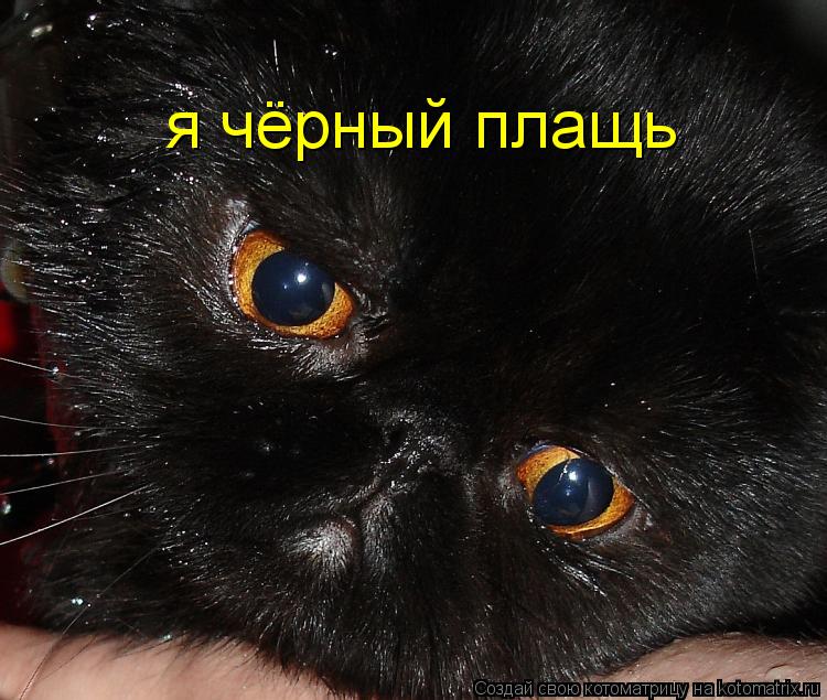 Котоматрица: я чёрный плащь