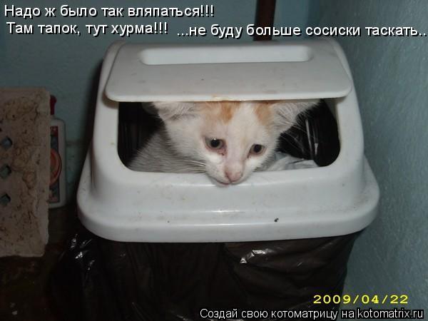 Котоматрица: Надо ж было так вляпаться!!! Там тапок, тут хурма!!! ...не буду больше сосиски таскать..
