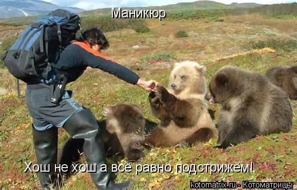 Котоматрица: Маникюр Хош не хош а всё равно подстрижём!
