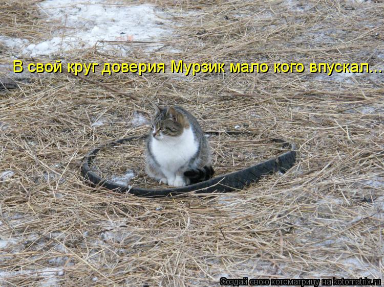 В свой круг доверия Мурзик мало кого впускал...... Котоматрица: В свой круг доверия Мурзик мало кого впускал...