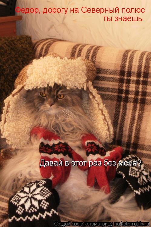 Котоматрица: Федор, дорогу на Северный полюс ты знаешь. Давай в этот раз без меня?