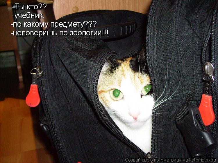 Котоматрица: -Ты кто?? -учебник. -по какому предмету??? -неповеришь,по зоологии!!!