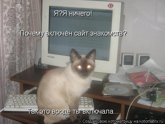 Котоматрица: Я?Я ничего! Почему включён сайт знакомств? Так это вроде ты включала...