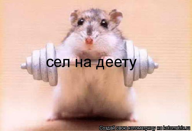 Котоматрица: сел на деету