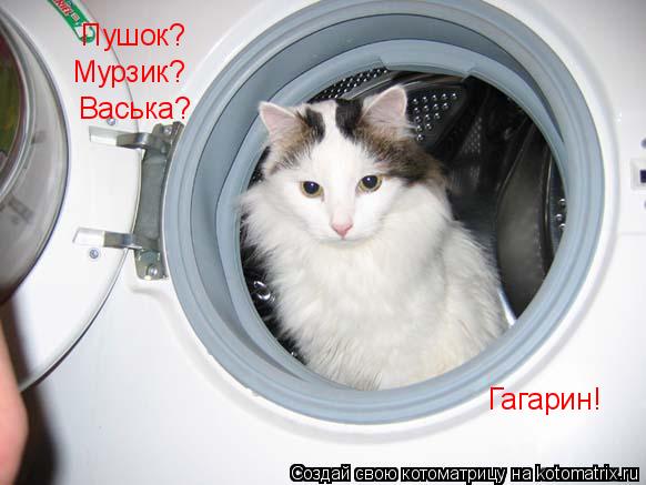 Пушок? Мурзик? Васька? Гагарин!... Котоматрица: Пушок? Мурзик? Васька? Гагарин!